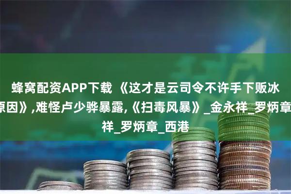 蜂窝配资APP下载 《这才是云司令不许手下贩冰毒的原因》,难怪卢少骅暴露,《扫毒风暴》_金永祥_罗炳章_西港