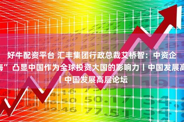 好牛配资平台 汇丰集团行政总裁艾桥智：中资企业“出海” 凸显中国作为全球投资大国的影响力丨中国发展高层论坛